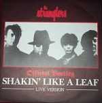 Shakin’ Like A Leaf 